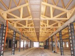 Rafters of Almaty